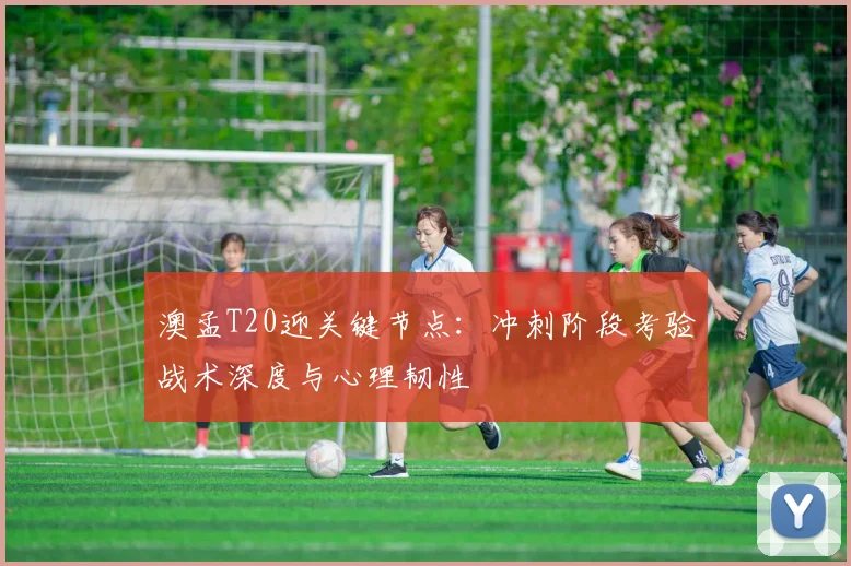 澳孟T20迎关键节点：冲刺阶段考验战术深度与心理韧性