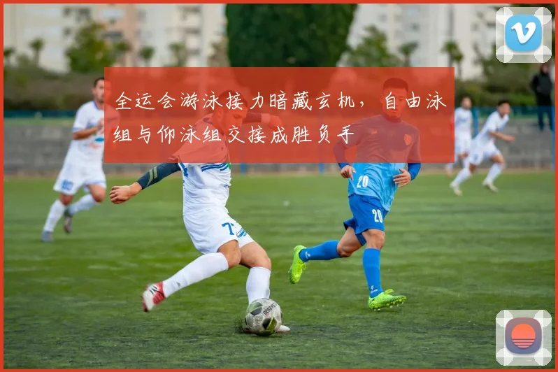 全运会游泳接力暗藏玄机，自由泳组与仰泳组交接成胜负手