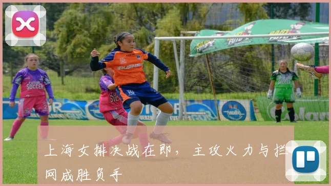 上海女排决战在即，主攻火力与拦网成胜负手