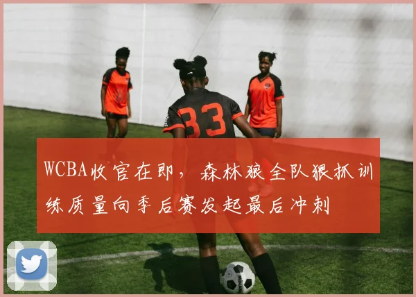 WCBA收官在即，森林狼全队狠抓训练质量向季后赛发起最后冲刺