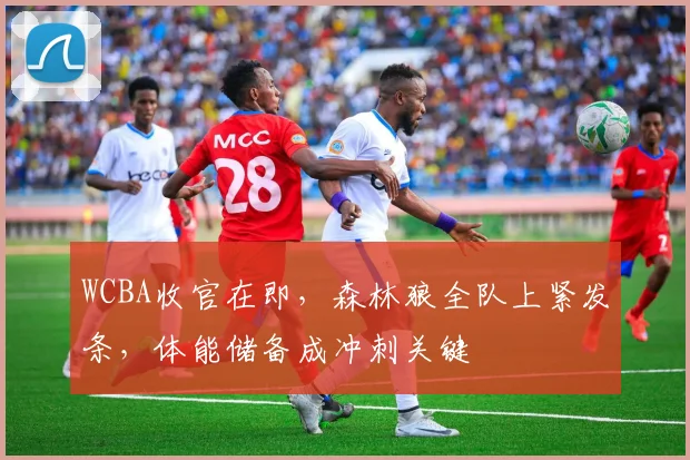 WCBA收官在即，森林狼全队上紧发条，体能储备成冲刺关键
